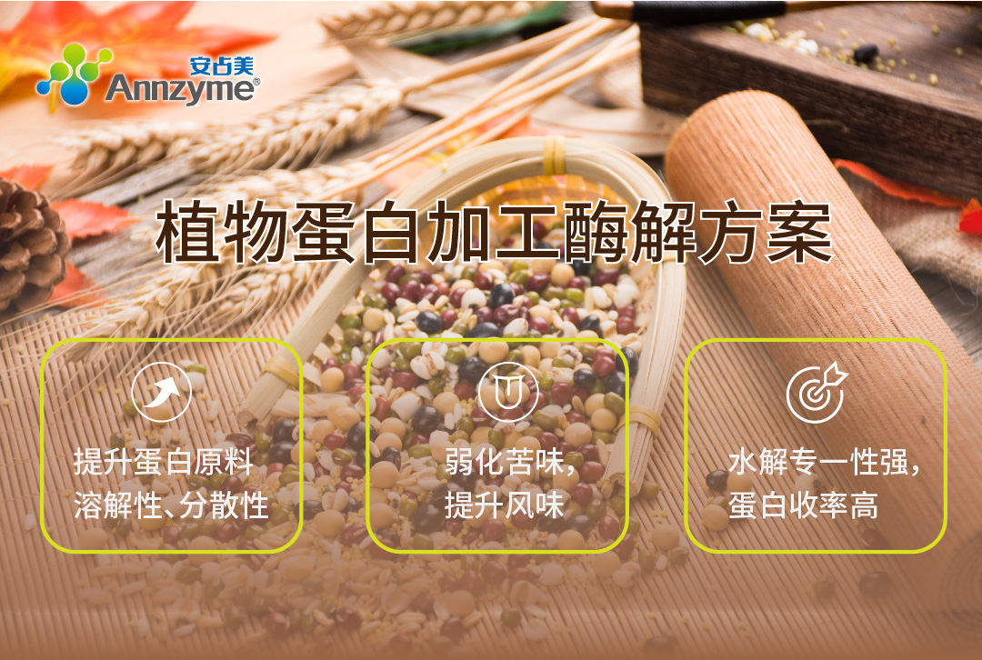 安占美植物蛋白酶解方案.jpg