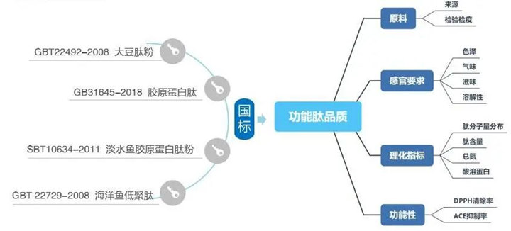 酶制劑行業(yè)對活性肽品質(zhì)的關(guān)注
